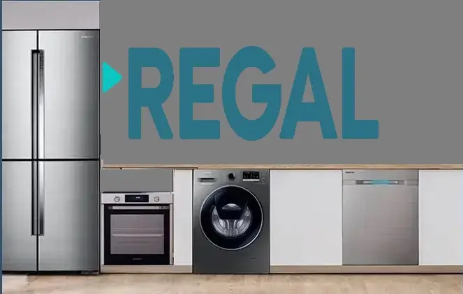 Beylikdüzü Regal servisi